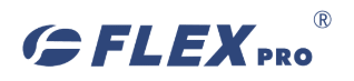 FlexPro Logo