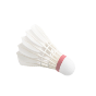 The Champions - Flex Pro